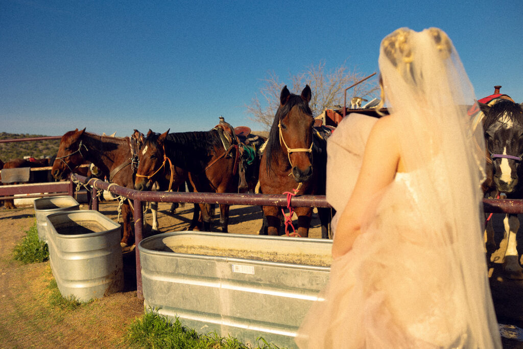 A bride in a white + blush wedding dress stands before horses before her horseback elopement in MI