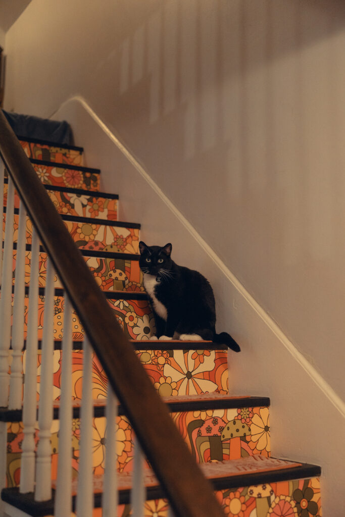 a black cat sits on the stairs of a home