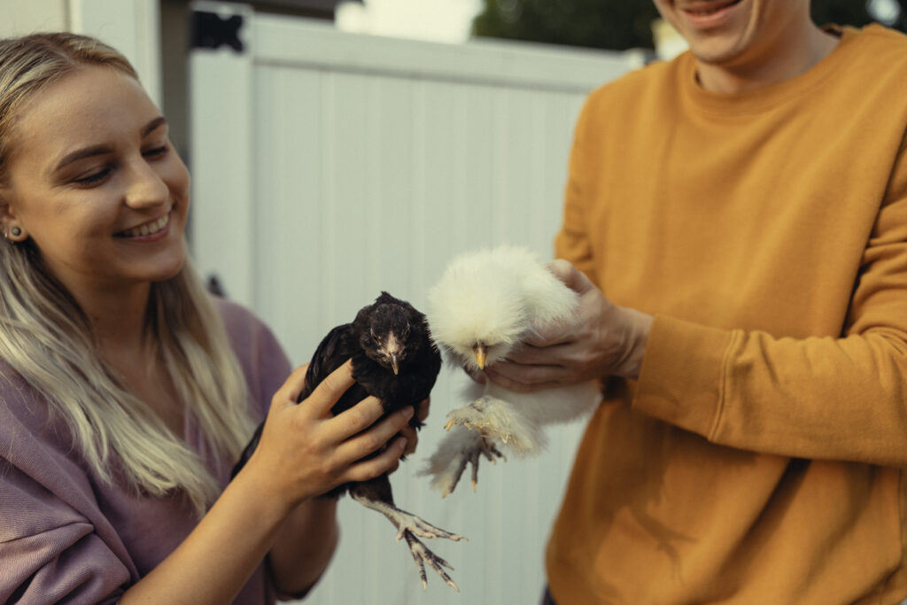 an engaged couple hold up two chickens while smiling