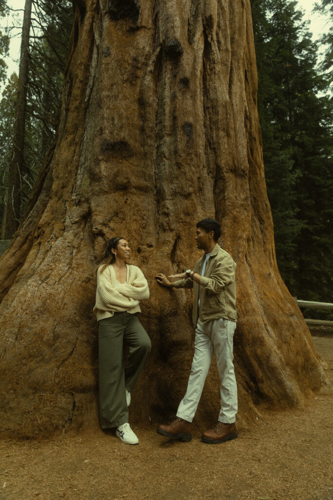 a woman leans against a redwood tree while her fiancee stands next to her during their sequoia national park engagement photos
