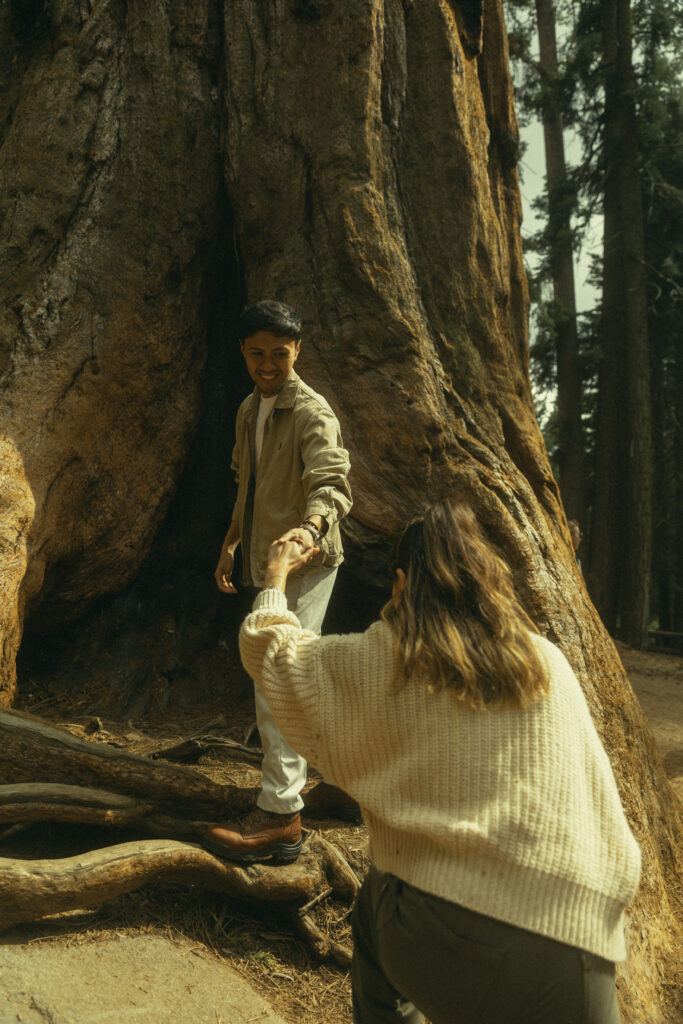 a man holds his hand out for his fiancee who he helps to climb over redwood roots