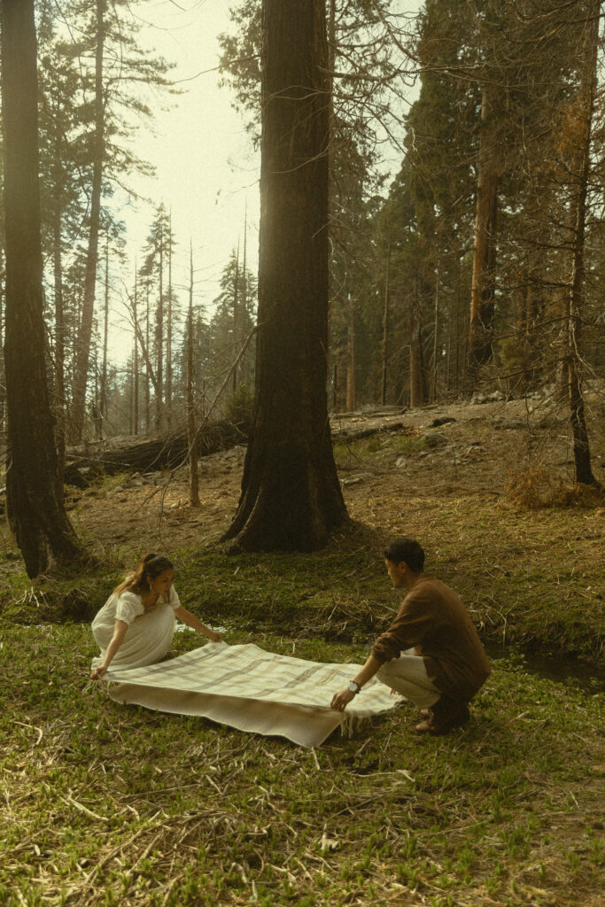 a couple lays out a picnic blanket together at sequoia national park