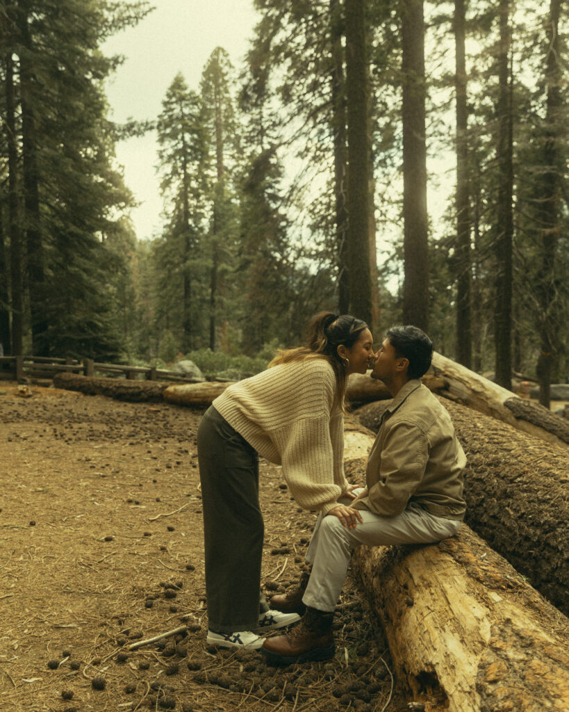 a woman leans down to lean in for a kiss with her fiancee who sits on a fallen tree